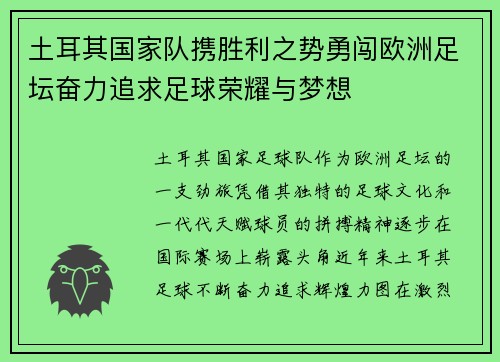 土耳其国家队携胜利之势勇闯欧洲足坛奋力追求足球荣耀与梦想